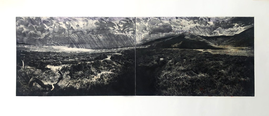 The Silence Sings for Timbisha
photogravure with chine collé and monotype
15 x 30" image
