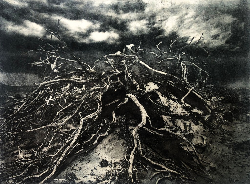 Timbisha Reclaiming Itself
photogravure with chine collé and monotype
15 x 18" image